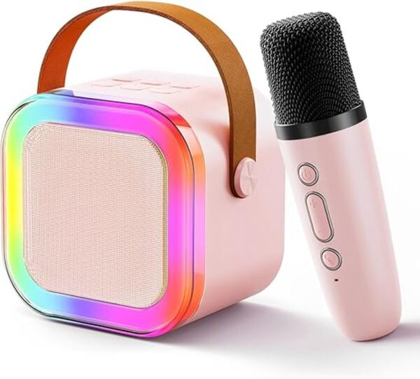 Bluetooth Speaker with 2 Mic: Multi-Compatibility in Dubai